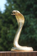 sculptuur, cobra - 30 cm - gepolijst brons, Antiek en Kunst