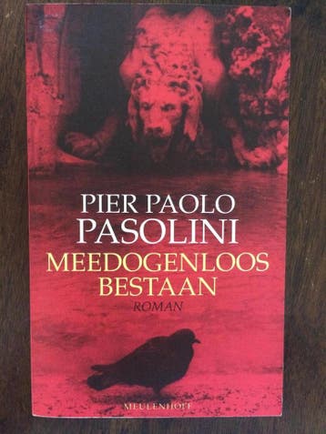 Meedogenloos bestaan - Pier Paolo Pasolini 9789029022309, Verzenden, Gelezen, Pier Paolo Pasolini