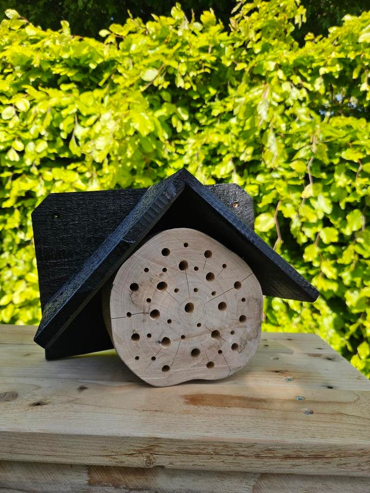 Bijenhotel Bee-Tiny, Dieren en Toebehoren, Insecten en Spinnen, Bijen