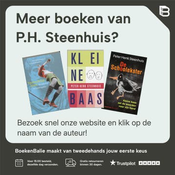 Filosofie van het kijken - P.H. Steenhuis 9789047700289, Verzenden, Gelezen, P.H. Steenhuis