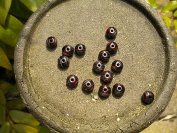 15 x Tsjechische kralen facet gemstone donuts 6x 8 mm (op..., Ophalen of Verzenden, Nieuw, Kraal