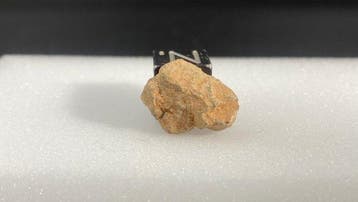 kleine maan (troctolite smeltebreccie) - 2 g - (1)