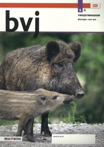 bvj / 1 vwo/gymnasium deel A 9789402068399, Verzenden, Gelezen