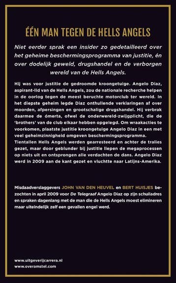 De gevallen engel 9789048829880 Bert Huisjes, Verzenden, Zo goed als nieuw, Bert Huisjes