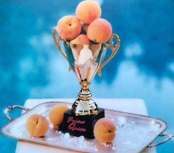 cd digi - Prima Queen - The Prize, Verzenden, Zo goed als nieuw