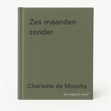 Zes maanden zonder - Charlotte de Monchy 9789059901643, Boeken, Verzenden, Zo goed als nieuw, Charlotte de Monchy