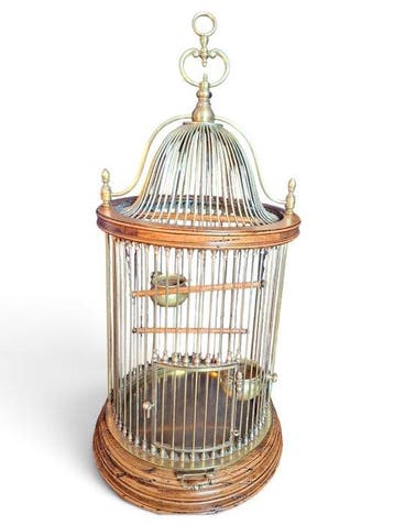 Vogelkooi - Messing, Hout - Klassiek en elegant, Antiek en Kunst