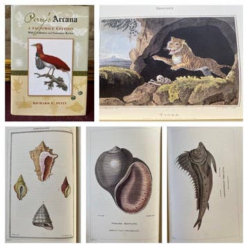 Richard E. Petit - Perrys Arcana: A Facsimile Edition with