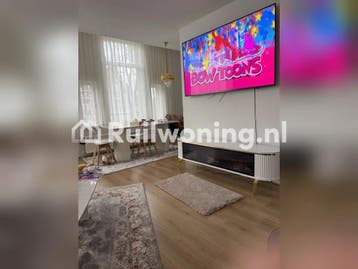 Ruime woning in Schiedam gezocht (Den Haag), Den Haag