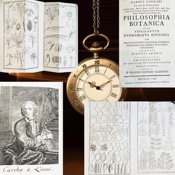 Linnaeus, Carolus - Philosophia Botanica in qua explicantur