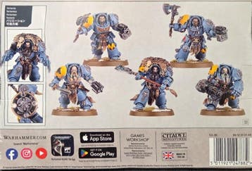 Space Wolves Wolf Guard Terminators (Warhammer Nieuw), Ophalen of Verzenden, Nieuw