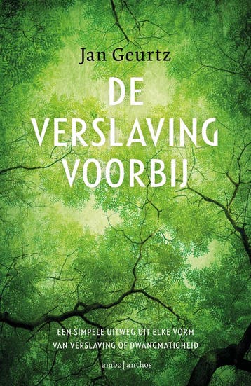 De Verslaving Voorbij | Jan Geurtz | Nieuw, Boeken, Ophalen of Verzenden, Nieuw, Jan Geurtz