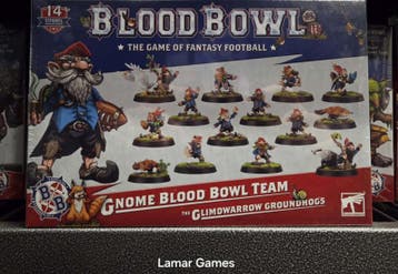 Gnome Blood Bowl team (Warhammer nieuw), Ophalen of Verzenden, Nieuw