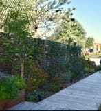 Wilgentenen schutting, voor natuurlijk privacy in de tuin, Nieuw, Hout, 6 meter of meer, 1 tot 2 meter