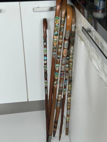 Zes Wandelstokken Met 72 x Schildjes Wandelstok (6) -