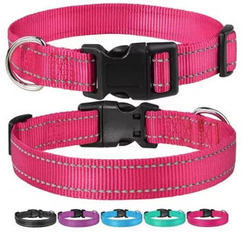 Reflecterende Nylon Hondenhalsband – Verstelbaar en Veilig, Dieren en Toebehoren, Verzenden, Nieuw