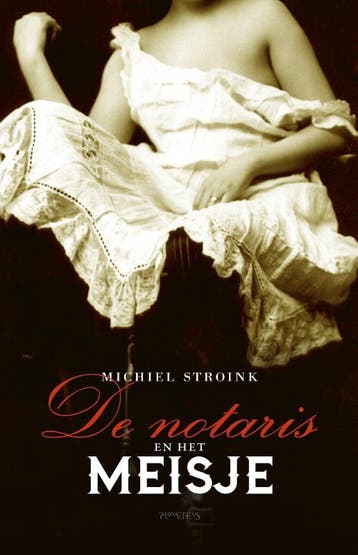 De notaris en het meisje - Michiel Stroink 9789044633641, Verzenden, Gelezen, Michiel Stroink