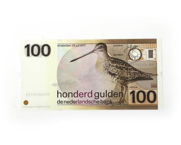 Een honderd gulden biljet, Poel- en watersnip