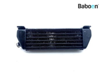 Oliekoeler BMW K 1200 RS 2001-2005 + GT (K1200RS K1200GT, Verzenden, Gebruikt