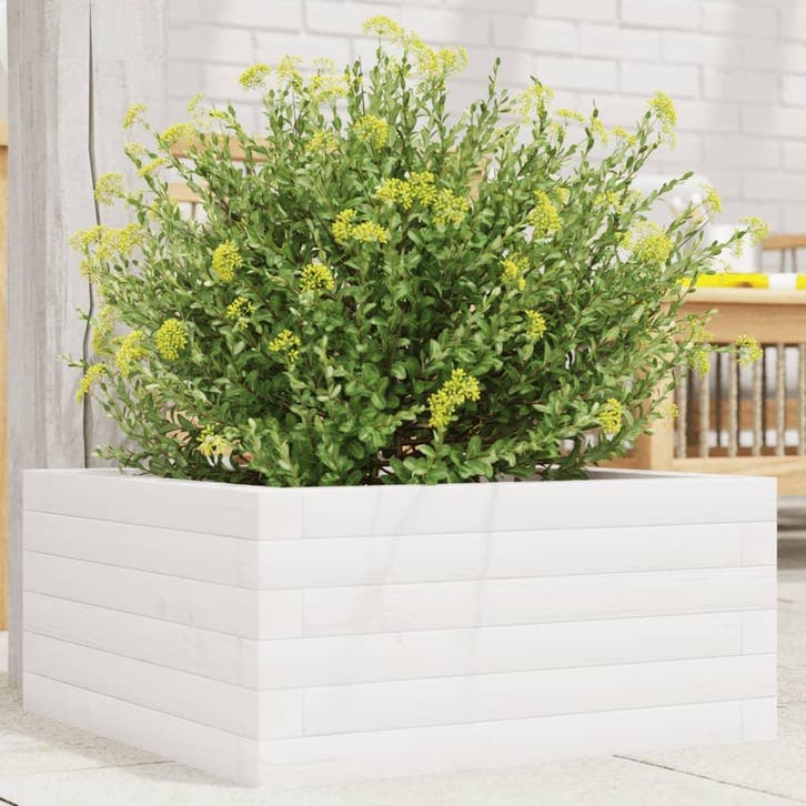 vidaXL Plantenbak 50x50x23 cm massief grenenhout wit, Tuin en Terras, Bloembakken en Plantenbakken, Nieuw, Hout, Verzenden