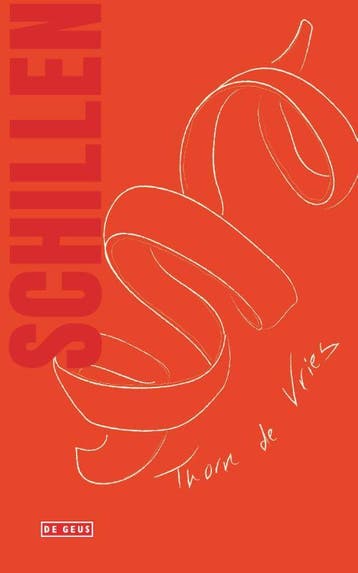 Schillen - Thorn de Vries 9789044551143, Verzenden, Zo goed als nieuw, Thorn de Vries
