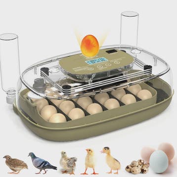 Automatische 24-Eieren Incubator: Temperatuur & Vochtigheid, Dieren en Toebehoren, Verzenden, Nieuw