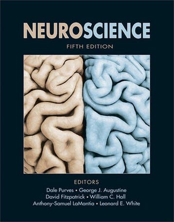 Neuroscience - Dale Purves 9780878936953, Boeken, Verzenden, Zo goed als nieuw, Dale Purves