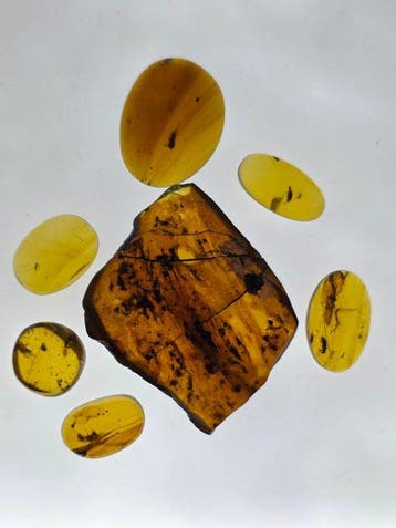 Birmese barnsteen - Barnsteen - Natural Fossil Amber Lot (7)