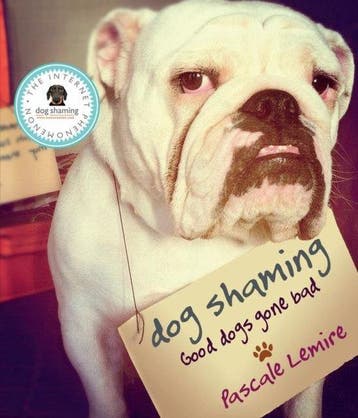 Dog Shaming - Pascale Lemire 9780753555156, Verzenden, Gelezen, Pascale Lemire
