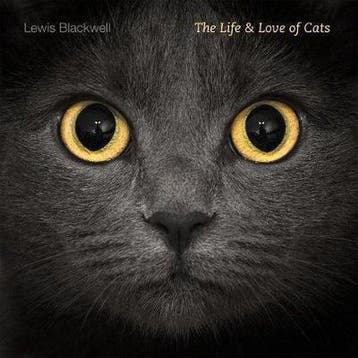 The Life and Love of Cats - Lewis Blackwell 9781419704048, Verzenden, Gelezen, Lewis Blackwell