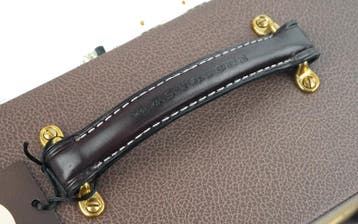 Magnatone Starlite Reverb Brown 1x10 Combo (Other,Tube Amps), Ophalen of Verzenden, Nieuw, Minder dan 50 watt