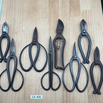Japanese Bonsai & Ikebana Shears Set CA436 Wabi Sabi Japan -