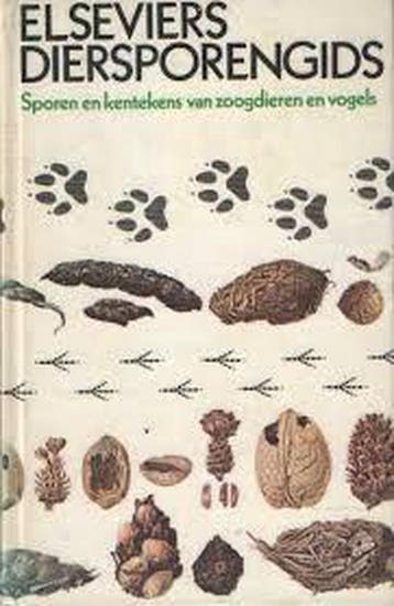 Elseviers diersporengids - Bang 9789010011671, Boeken, Verzenden, Gelezen, Bang