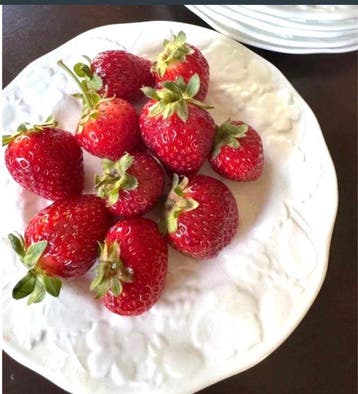 Wedgwood - Tafelservies (8) - Strawberry & Vine - Been,