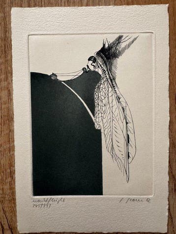 Gabriele Grosse - Gabriele Grosse – Tapisserien 1961–1981 –