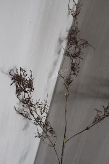 Brynxz sobere tak Leaf vintage brown 93 cm, Ophalen of Verzenden, Nieuw