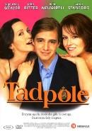Tadpole - DVD, Cd's en Dvd's, Dvd's | Drama, Verzenden