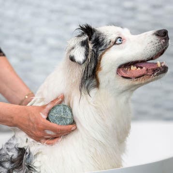 HappySoaps Honden Universeel Shampoo Bar - 70g, Ophalen of Verzenden, Nieuw, Shampoo of Conditioner