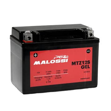 Accu YTZ12S 12v-11Ah (incl. gelpakket) - Malossi, Ophalen of Verzenden, Nieuw