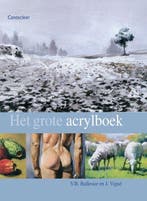 Het Grote Acrylboek, Ophalen of Verzenden, Nieuw