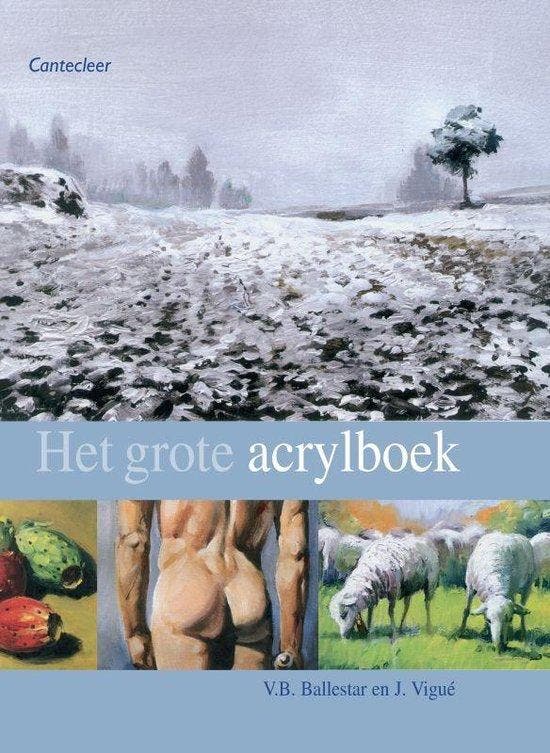 Het Grote Acrylboek, Boeken, Literatuur, Ophalen of Verzenden