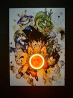 LEDMansion - Saiyan Awakening V.1, Nieuw