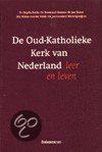 De Oud-Katholieke Kerk van Nederland 9789023907282 H. Leede, Boeken, Verzenden, Zo goed als nieuw, H. Leede
