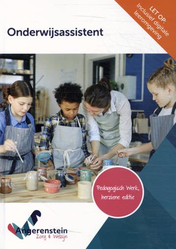 Onderwijsassistent / 2023 / Angerenstein Welzijn, Boeken, Schoolboeken, Verzenden, Zo goed als nieuw