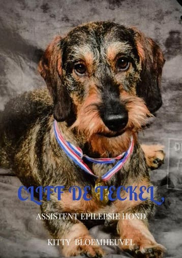 Cliff De Teckel, Een Hond Van Goud | Kitty Bloemheuvel, Ophalen of Verzenden, Nieuw, Kitty Bloemheuvel
