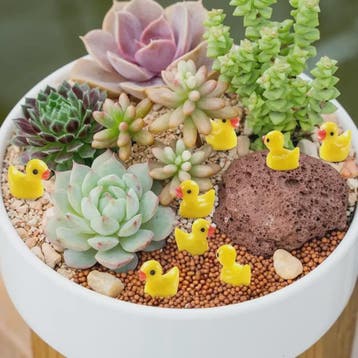 Set Mini Resin Eendjes - 100 of 200 Stuks - Decoratie, Knuts, Verzenden, Nieuw