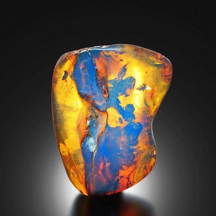 ZEER ZELDZAM! Insecteninclusie, helder blauw amber uit, Verzamelen, Mineralen en Fossielen