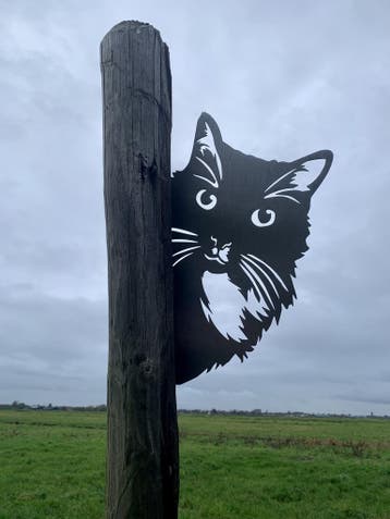 Tuindecoratie Toby de kat | 38.7 cm x 28.2 cm, Verzenden, Nieuw
