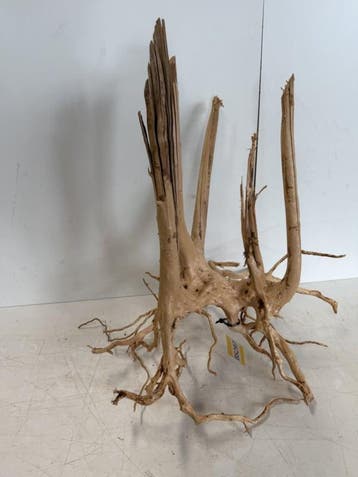 Boutique Stump Selected BS297 - 80x50x48cm (Natuurlijk hout), Ophalen of Verzenden, Nieuw, Plant(en), Steen of Hout