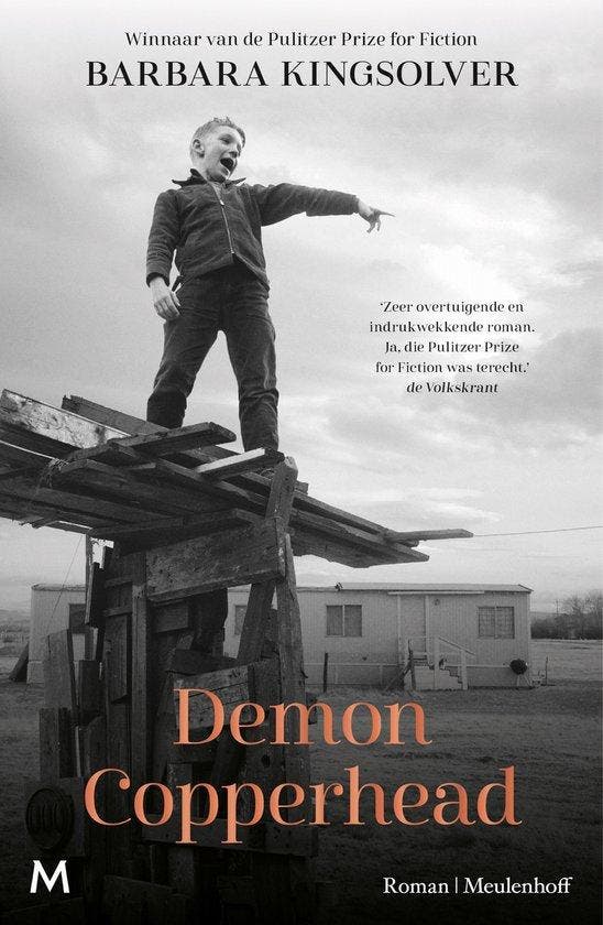 9789029098656 Demon Copperhead Barbara Kingsolver, Boeken, Romans, Nieuw, Verzenden